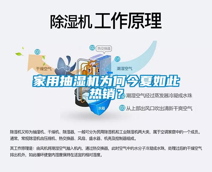 家用抽濕機(jī)為何今夏如此熱銷？