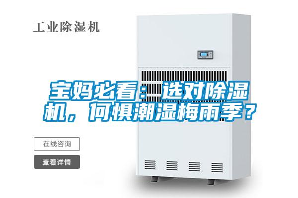 寶媽必看：選對除濕機，何懼潮濕梅雨季？