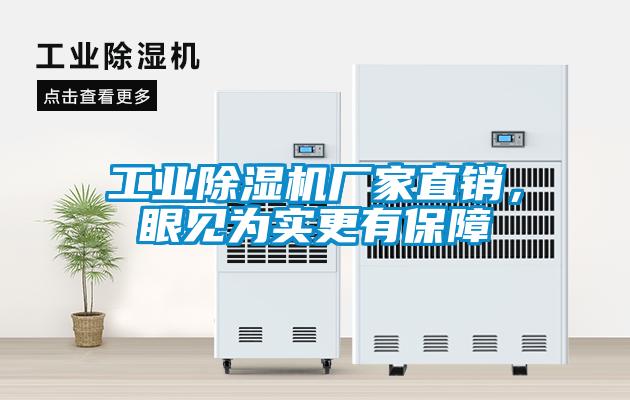 工業(yè)除濕機廠家直銷，眼見為實更有保障