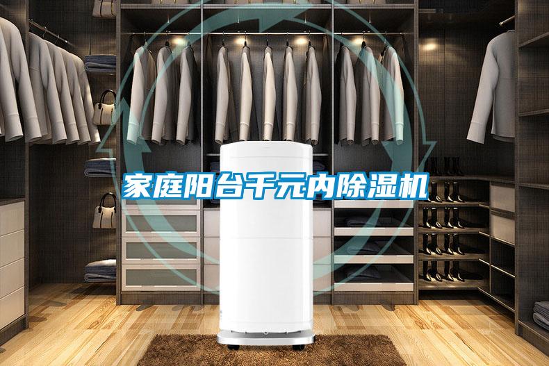 家庭陽臺(tái)千元內(nèi)除濕機(jī)