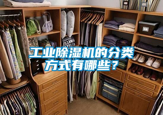 工業(yè)除濕機(jī)的分類方式有哪些？