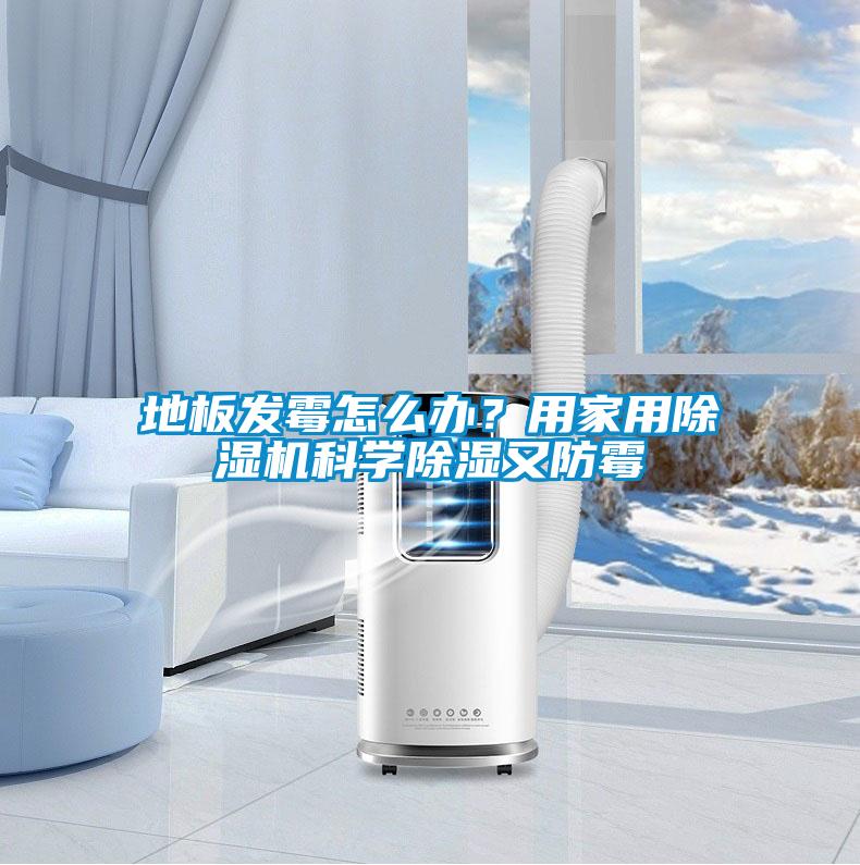 地板發(fā)霉怎么辦？用家用除濕機科學(xué)除濕又防霉