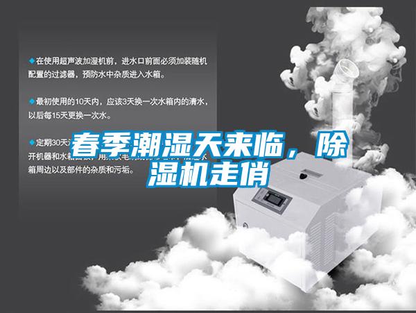 春季潮濕天來臨，除濕機走俏