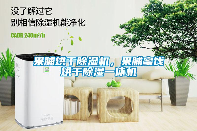 果脯烘干除濕機(jī)，果脯蜜餞烘干除濕一體機(jī)