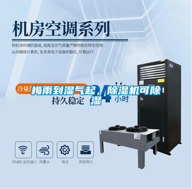 梅雨到濕氣起，除濕機可除濕