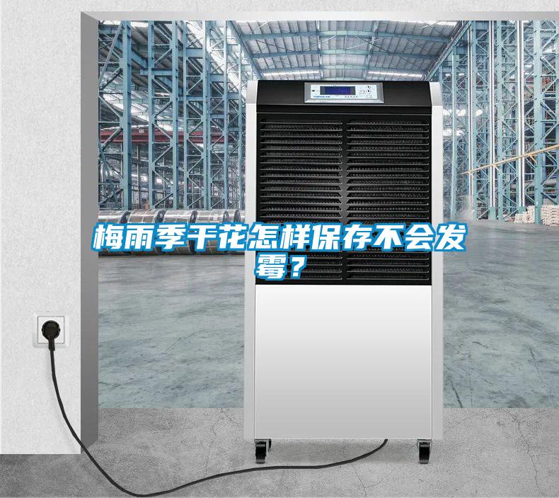 梅雨季干花怎樣保存不會(huì)發(fā)霉？