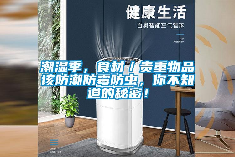 潮濕季，食材／貴重物品該防潮防霉防蟲(chóng)，你不知道的秘密！