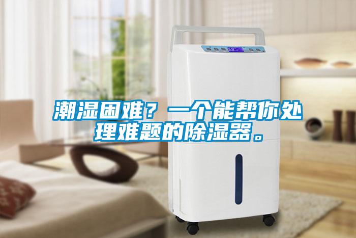 潮濕困難？一個能幫你處理難題的除濕器。