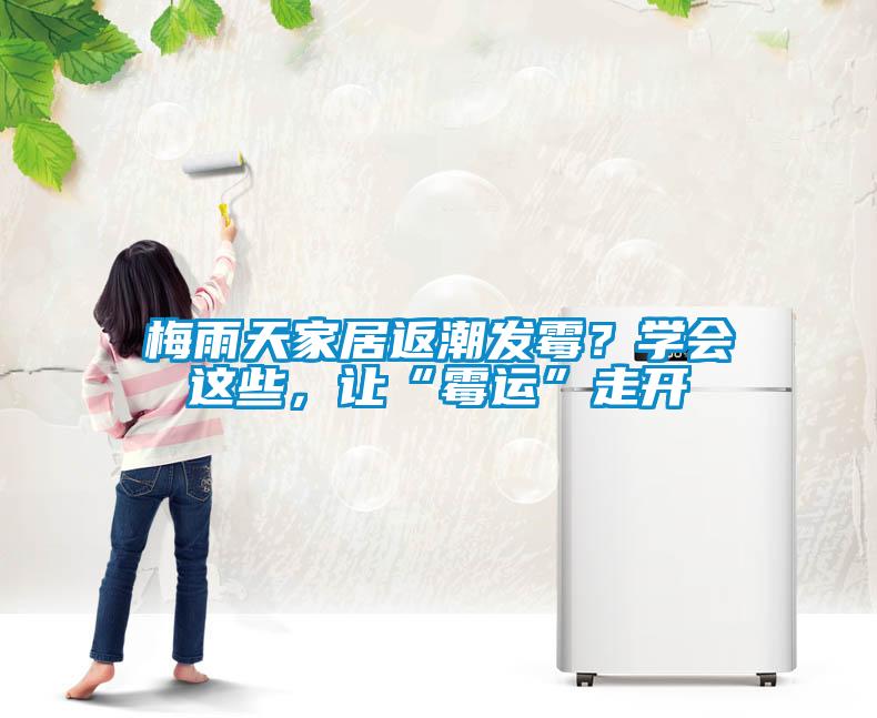 梅雨天家居返潮發(fā)霉？學會這些，讓“霉運”走開