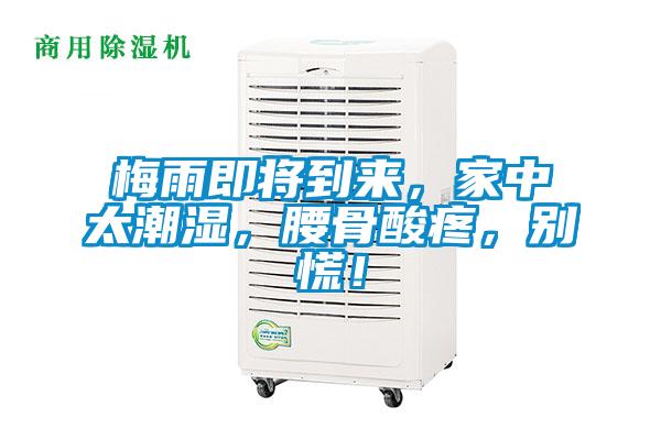 梅雨即將到來，家中太潮濕，腰骨酸疼，別慌！