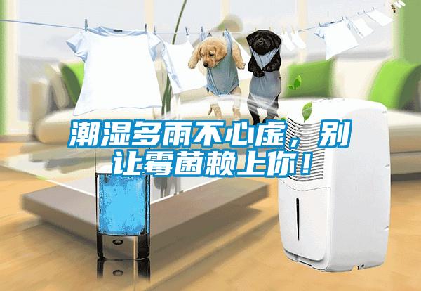 潮濕多雨不心虛，別讓霉菌賴上你！