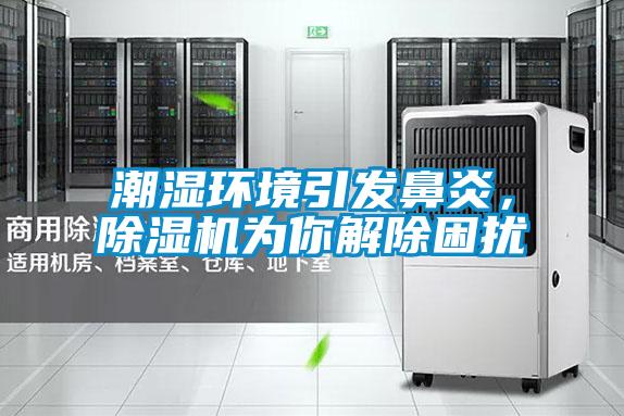 潮濕環(huán)境引發(fā)鼻炎，除濕機為你解除困擾