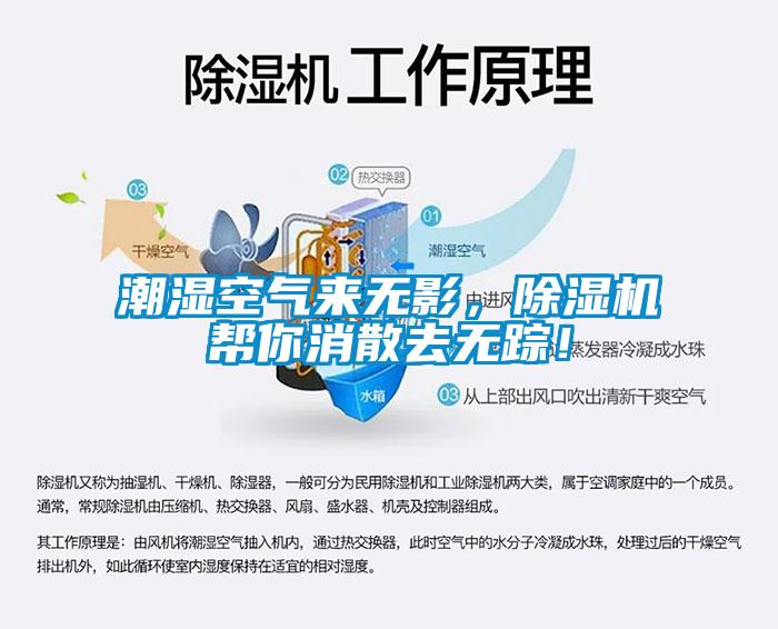 潮濕空氣來無影，除濕機(jī)幫你消散去無蹤！