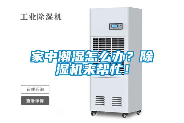 家中潮濕怎么辦？除濕機來幫忙！