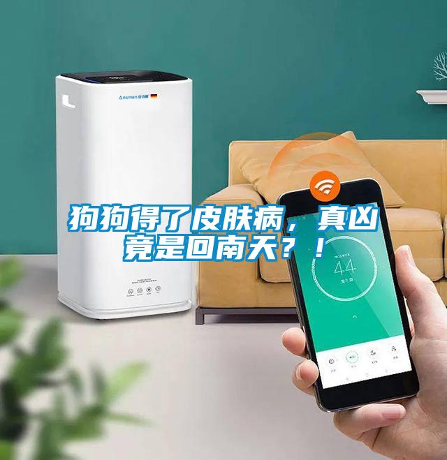 狗狗得了皮膚病，真兇竟是回南天？！