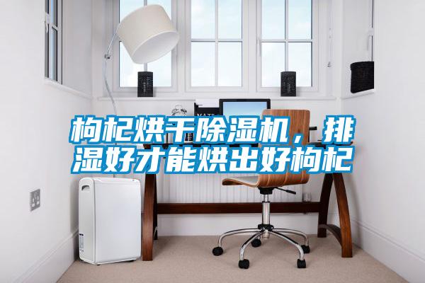 枸杞烘干除濕機，排濕好才能烘出好枸杞