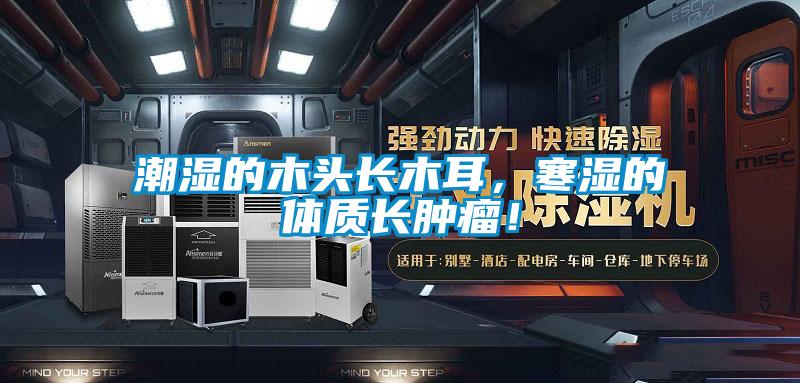 潮濕的木頭長(zhǎng)木耳，寒濕的體質(zhì)長(zhǎng)腫瘤！