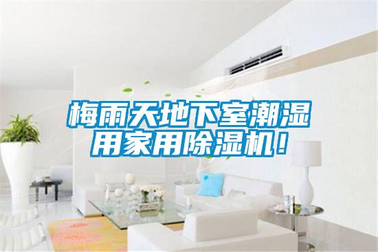 梅雨天地下室潮濕用家用除濕機(jī)！