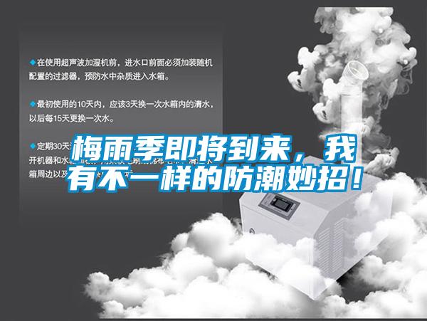 梅雨季即將到來(lái)，我有不一樣的防潮妙招！