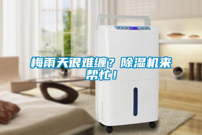 梅雨天很難纏？除濕機來幫忙！