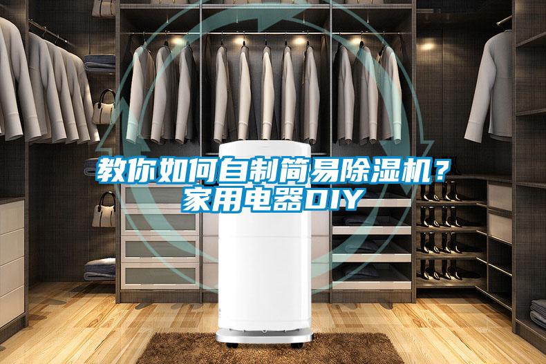 教你如何自制簡易除濕機？家用電器DIY