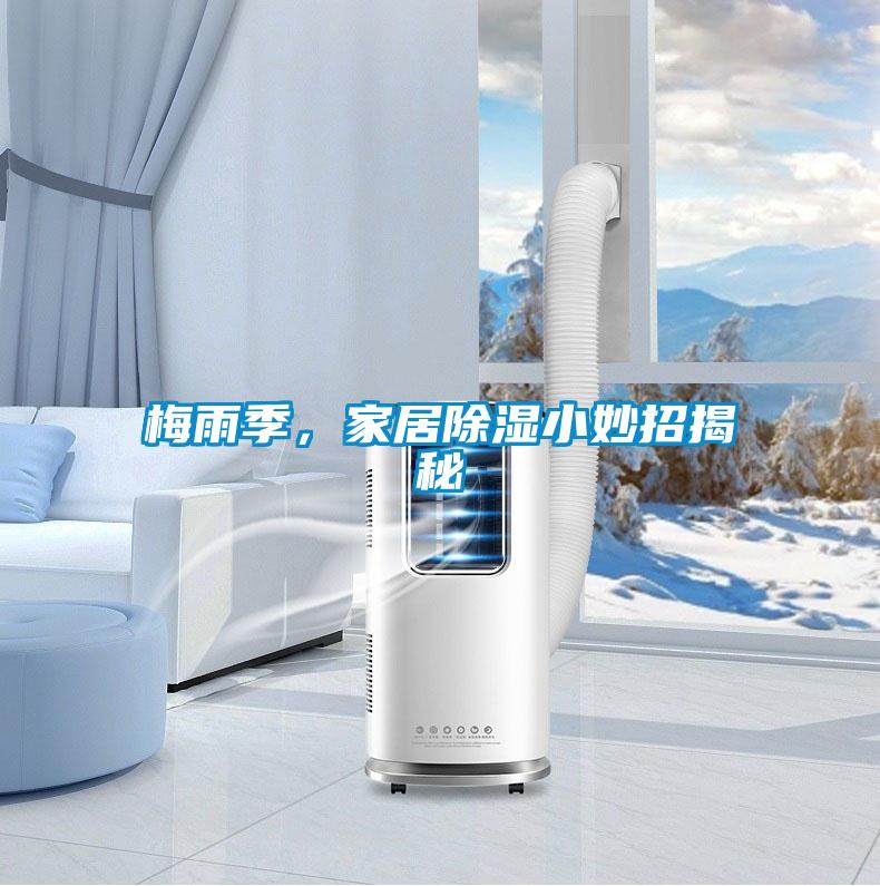 梅雨季，家居除濕小妙招揭秘