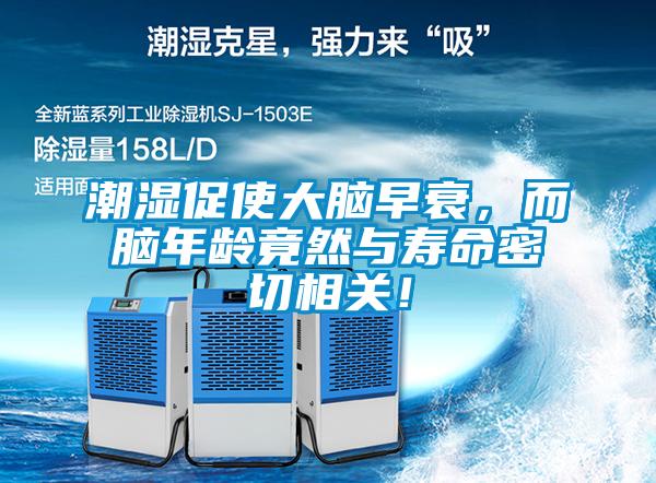 潮濕促使大腦早衰，而腦年齡竟然與壽命密切相關(guān)！