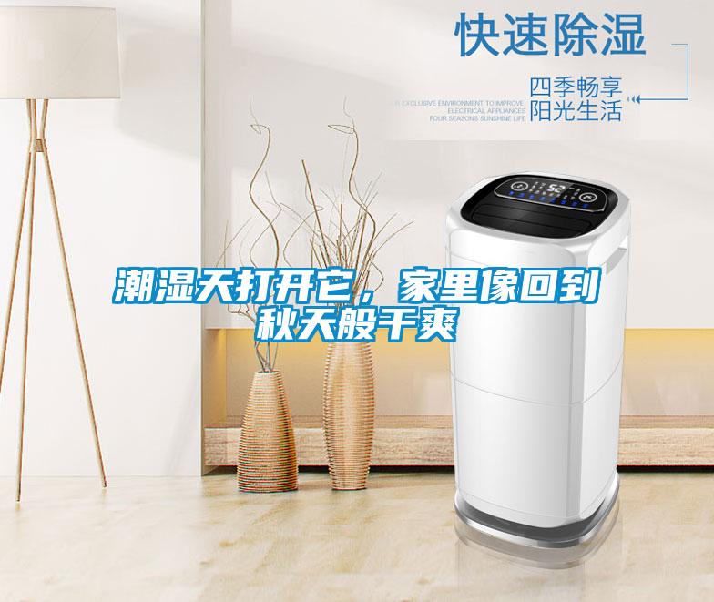 潮濕天打開它，家里像回到秋天般干爽