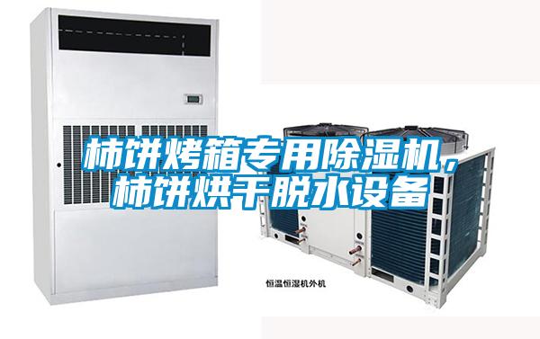 柿餅烤箱專(zhuān)用除濕機(jī)，柿餅烘干脫水設(shè)備