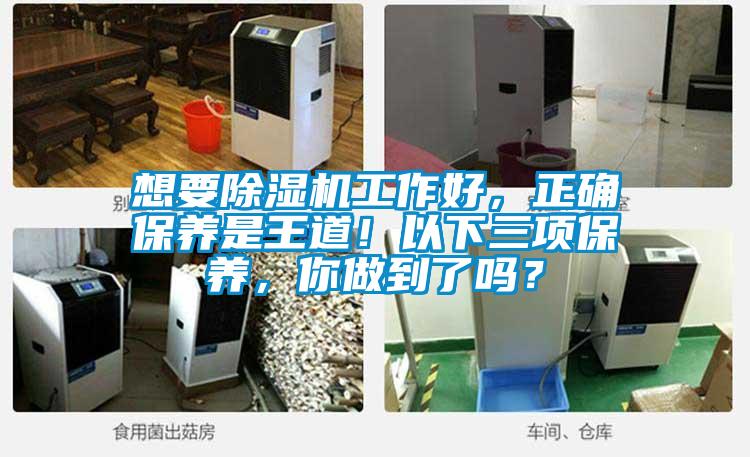 想要除濕機工作好，正確保養(yǎng)是王道！以下三項保養(yǎng)，你做到了嗎？