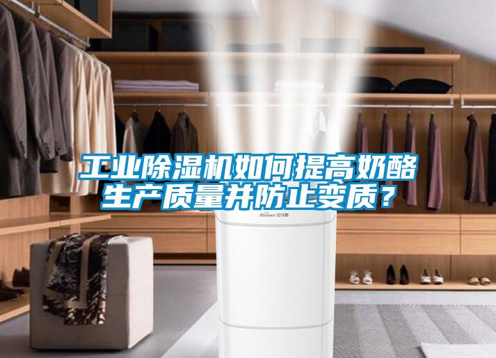 工業(yè)除濕機(jī)如何提高奶酪生產(chǎn)質(zhì)量并防止變質(zhì)？