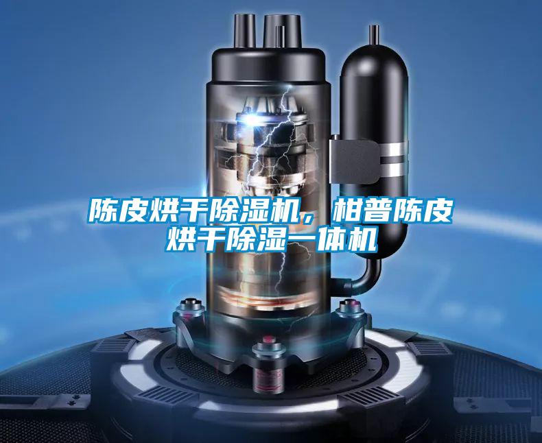 陳皮烘干除濕機，柑普陳皮烘干除濕一體機