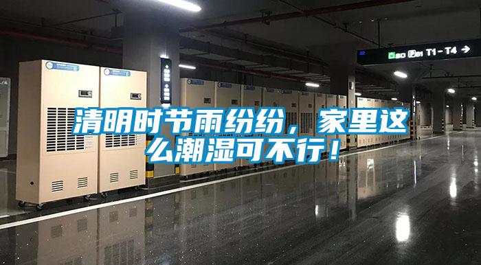 清明時節(jié)雨紛紛，家里這么潮濕可不行！