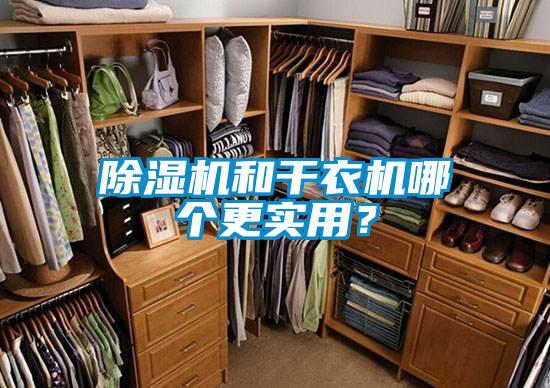 除濕機和干衣機哪個更實用？