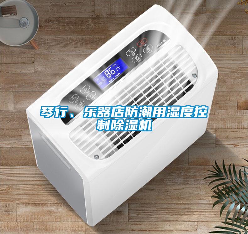 琴行、樂器店防潮用濕度控制除濕機(jī)