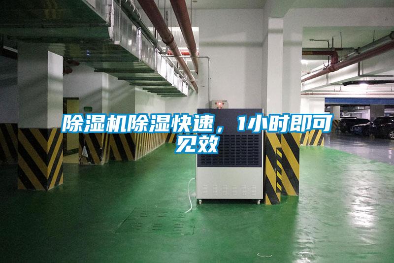 除濕機除濕快速，1小時即可見效
