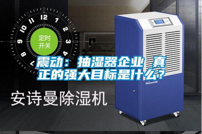 震動：抽濕器企業(yè) 真正的強(qiáng)大目標(biāo)是什么？