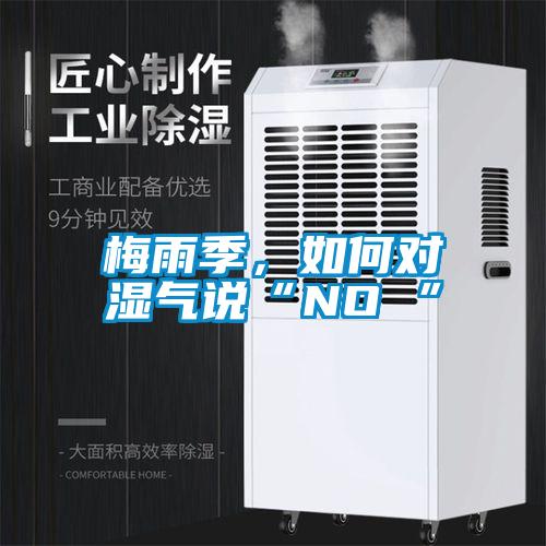 梅雨季，如何對濕氣說“NO ”
