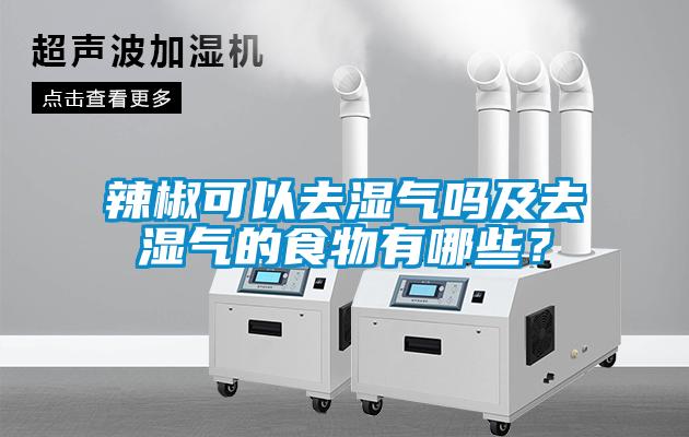 辣椒可以去濕氣嗎及去濕氣的食物有哪些？