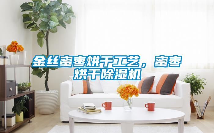 金絲蜜棗烘干工藝，蜜棗烘干除濕機