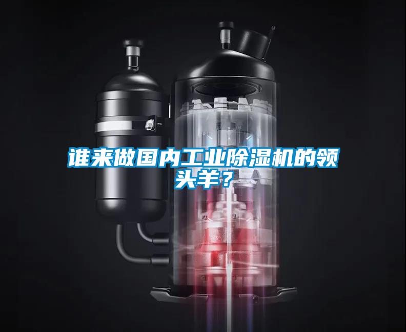 誰來做國內(nèi)工業(yè)除濕機(jī)的領(lǐng)頭羊？