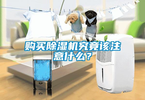 購買除濕機(jī)究竟該注意什么？