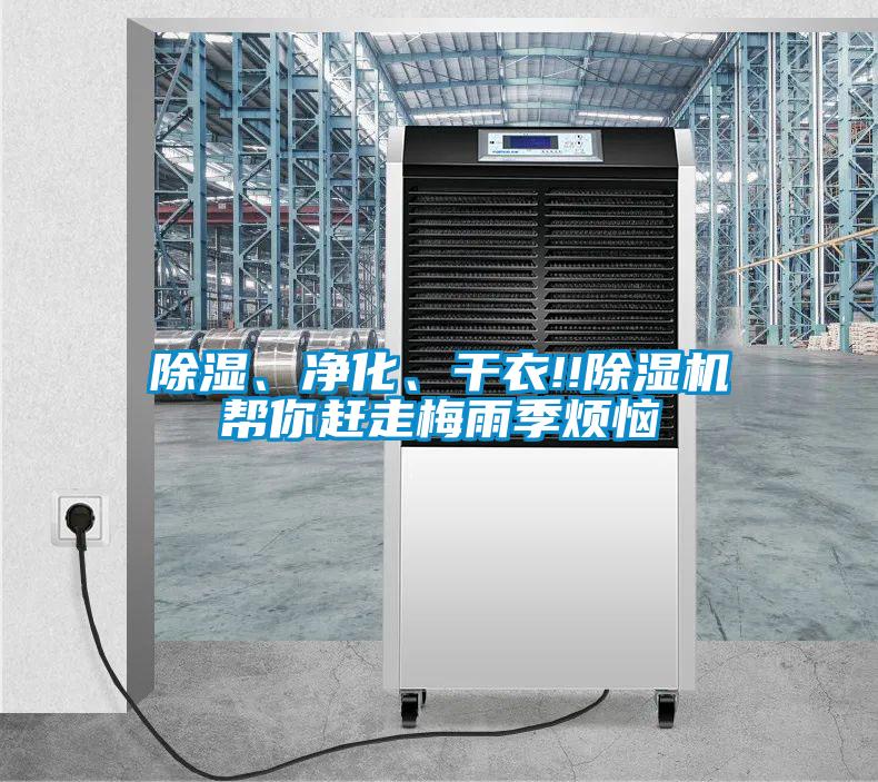 除濕、凈化、干衣!!除濕機幫你趕走梅雨季煩惱