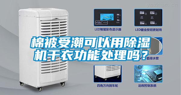 棉被受潮可以用除濕機干衣功能處理嗎？