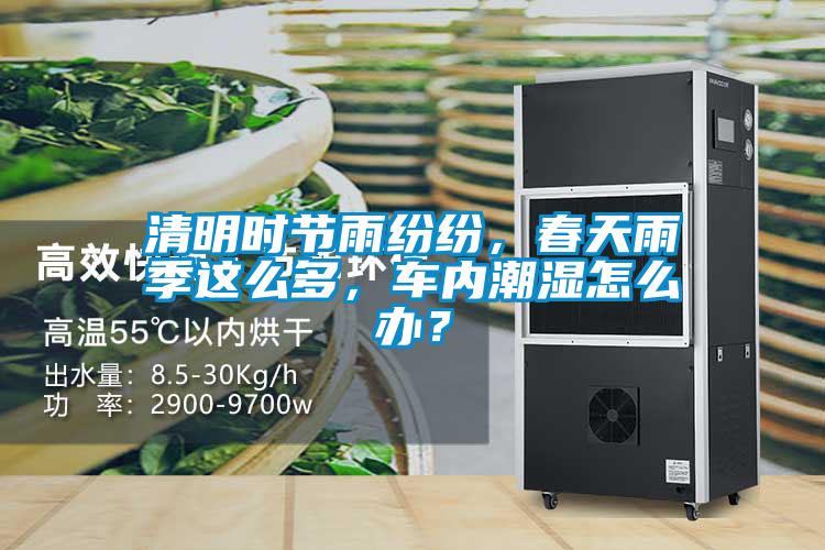 清明時(shí)節(jié)雨紛紛，春天雨季這么多，車內(nèi)潮濕怎么辦？