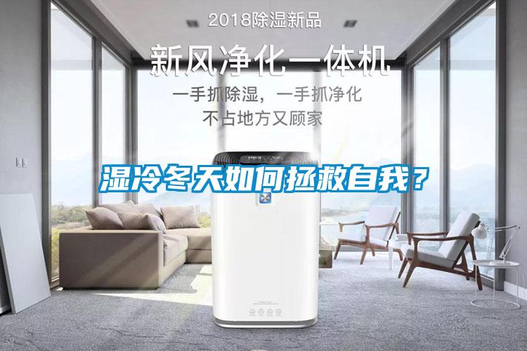 濕冷冬天如何拯救自我？