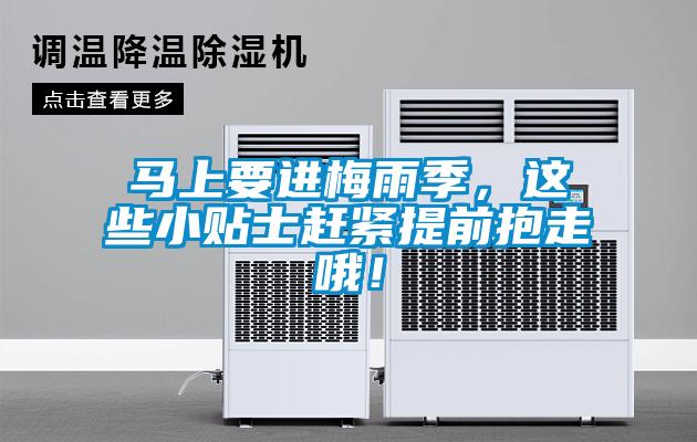 馬上要進(jìn)梅雨季，這些小貼士趕緊提前抱走哦！