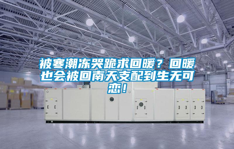 被寒潮凍哭跪求回暖？回暖也會(huì)被回南天支配到生無(wú)可戀！