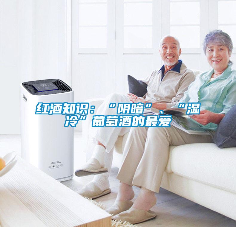紅酒知識：“陰暗”、“濕冷”葡萄酒的最愛