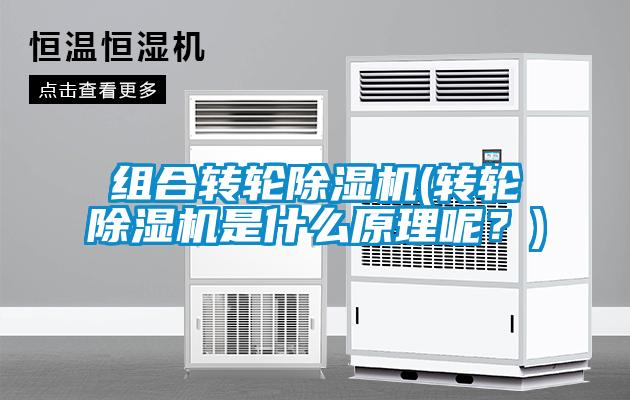 組合轉(zhuǎn)輪除濕機(轉(zhuǎn)輪除濕機是什么原理呢？)